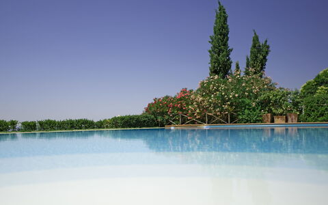 Casa Lucia: Acqua, Blu, Natura, Cielo, Riflessione, Paesaggio Naturale, Albero, Risorse Idriche, Giorno, Lago