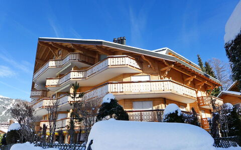 Villars 785: Legna, Architettura, Casa, Balcone, Villetta, Congelamento, Inverno, Neve, Raccordo