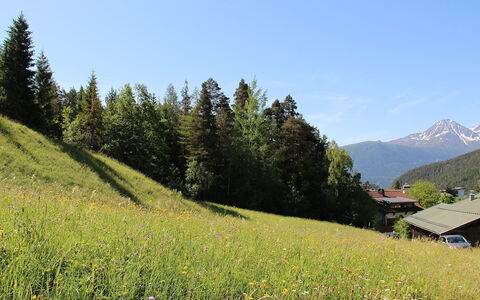Lueg Ins Land: Cielo, Pianta, Fiore, Montagna, Comunita 'Impianto, Natura, Foglia, Paesaggio Naturale, Pendenza, Vegetazione