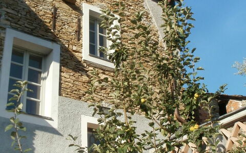 Marina di Andora 400: Cielo, Giorno, Finestra, Pianta, Proprietà, Costruzione, Architettura, Vegetazione, Giallo