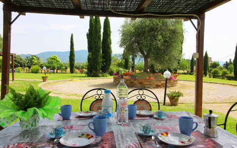 Podere Marcigliano: Tavola, Tavolo, Pianta, Proprietà, Verde, Interior Design, Cielo, Tessile, Albero, Shade