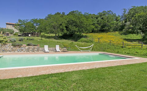 Casalini: Pianta, Cielo, Acqua, Piscina, Rettangolo, Albero, Lotto, Shade, Erba, Tempo Libero