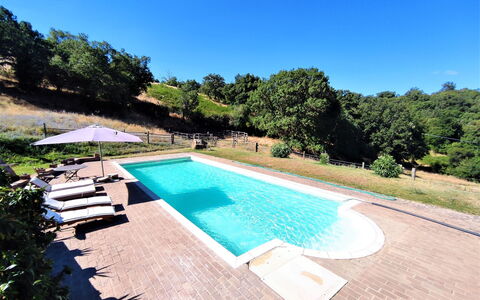 Casalini: Acqua, Cielo, Pianta, Proprietà, Piscina, Natura, Azzurro, Albero, Rettangolo, Mobili Da Esterno
