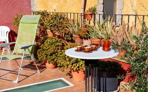 Sant Joan: Pianta, Proprietà, Mobilia, Sedia, Botanica, Mobili Da Esterno, Arancia, Tavolo Esterno, Architettura, Interior Design