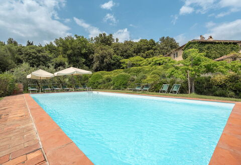 Centolivi 14: Arbusto, Piscina, Estate, Hacienda, Giardino, Eco Hotel, Agriturismo, Villa, Landscaping, Ricorrere