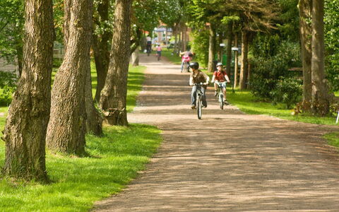 Geesthof: Bicicletta, Pianta, Ruota, Albero, Manto Stradale, Paesaggio Naturale, Luce Del Sole, Asfalto, Erba, Strada Transitabile