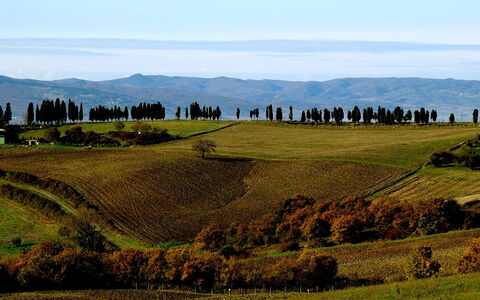 Dante: Pascolo, Paesaggio Naturale, Collina, Highland, Verde, Geografia Montane, Pascolo, Ambiente Naturale, Cielo, Montagna