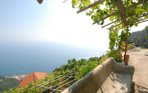 Dea Afrodite: Vegetazione, Proprietà, Cielo, Albero, Vacanza, Estate, Luce Del Sole, Casa, Immobiliare, Paesaggio