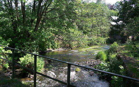 Vielsalm: Paesaggio Naturale, Vegetazione, Riserva Naturale, Natura, Ambiente Naturale, Albero, Riparia, Biome, Foresta, Bosco Ripariale