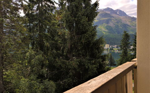 Chesa Romantica 17: Nube, Cielo, Montagna, Paesaggio Naturale, Legna, Larice, Albero, Paesaggio, Sempreverde, Recinzione