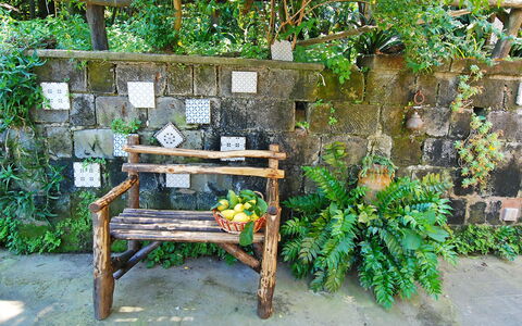 Il Montano: Vegetazione, Giardino, Botanica, Banco, Mobilia, Pianta, Mobili Da Esterno, Fiore, Backyard, Tavolo