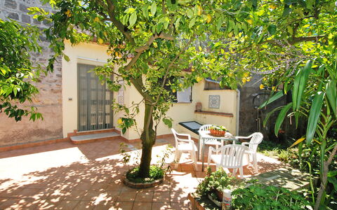 Il Montano: Pianta, Costruzione, Finestra, Mobilia, Shade, Albero, Architettura, Sedia, Tavolo, Quartiere