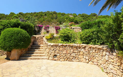 Paradiso: Proprietà, Vegetazione, Giardino, Parete, Casa, Albero, Immobiliare, Botanica, Arbusto, Pianta