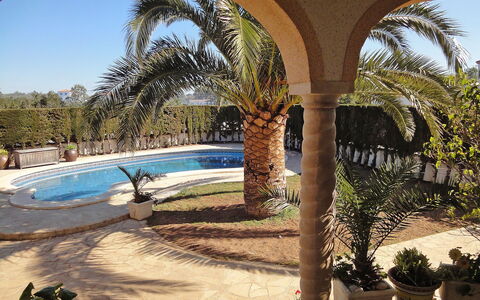 Dirk: Proprietà, Albero, Palma, Azzurro, Arecales, Immobiliare, Architettura, Costruzione, Vacanza, Hacienda