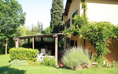 Montecuccoli