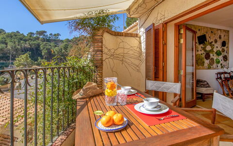 Vista Halcon: Tavolo, Mobilia, Proprietà, Tavola, Sedia, Legna, Interior Design, Pianta, Arancia, Shade