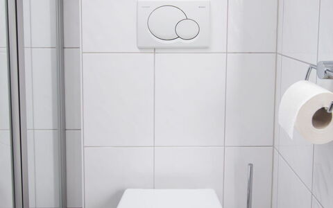 Achtern Diek 24: Proprietà, Toilet Seat, Bianca, Gabinetto, Bagno, Prodotto, Viola, Nero, Idraulico Fixture