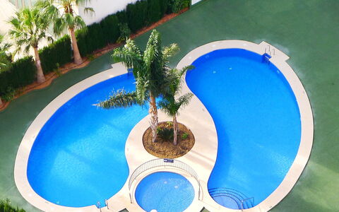 Ambar Beach: Pianta, Acqua, Azzurro, Verde, Blu, Albero, Costruzione, Arecales, Urban Design, Corpo D'Acqua