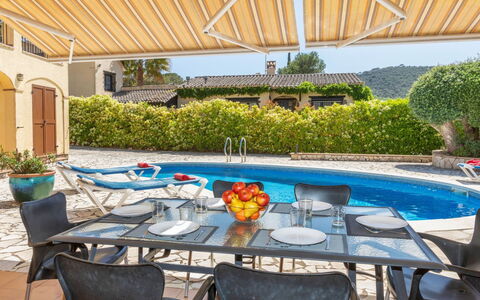 Solenza: Pianta, Proprietà, Tavolo, Mobilia, Shade, Mobili Da Esterno, Acqua, Sedia, Interior Design, Tempo Libero