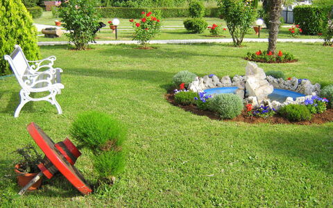 Cvjetko: Prato, Cortile, Giardino, Erba, Backyard, Landscaping, Graminacee, Arbusto, Paesaggio, Pianta
