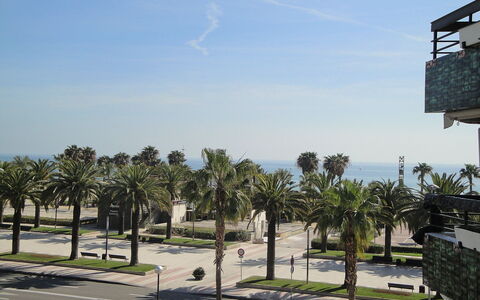Formentor Ii: Cielo, Pianta, Nube, Albero, Shade, Vegetazione, Arecales, Lotto, Urban Design, Street Luce