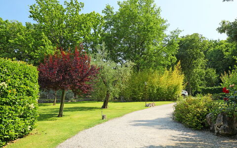 Nest: Pianta, Cielo, Natura, Foglia, Paesaggio Naturale, Street Luce, Albero, Lotto, Manto Stradale, Erba