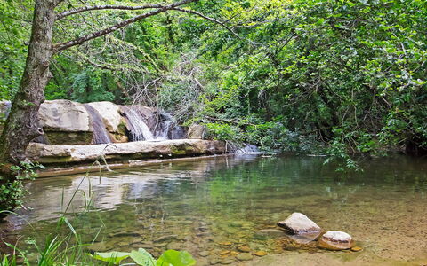 La Valchiera: Acqua, Pianta, Comunita 'Impianto, Paesaggio Naturale, Primavera, Albero, Corpo D'Acqua, Impianto Terrestre, Alveo