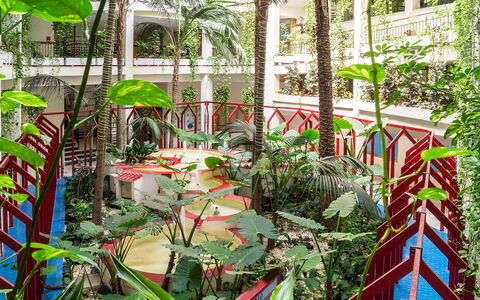 Benalbeach: Pianta, Botanica, Impianto Terrestre, Costruzione, Vegetazione, Albero, Biome, Urban Design, Tempo Libero, Arbusto