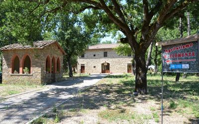 Casa vacanza Agriturismo San Clemente - Panzano in Chianti, Toscana, Italia - Pinot