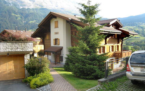 Chalet Nagano: Proprietà, Casa, Costruzione, Casa, Immobiliare, Zona Residenziale, Cittadina, Architettura, Tetto, Montagna