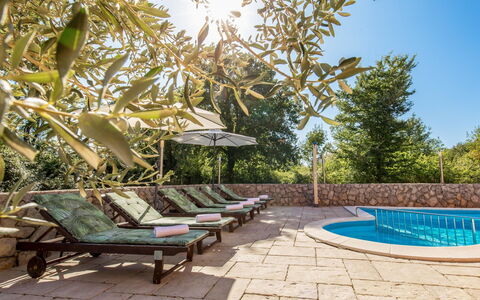 Krk Šilo 100: Pianta, Acqua, Cielo, Shade, Mobili Da Esterno, Albero, Piscina, Arecales, Erba, Lettino