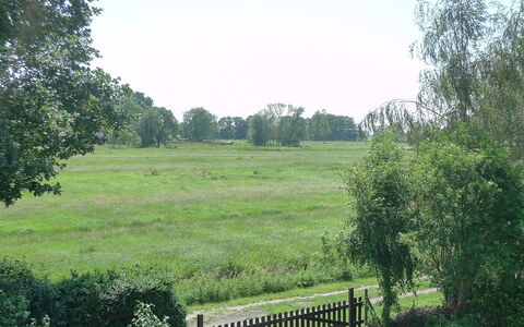 Villa Sorgenfrei: Paesaggio Naturale, Riserva Naturale, Proprietà, Pascolo, Lotto, Ambiente Naturale, Erba, Prato, Albero, Pascolo