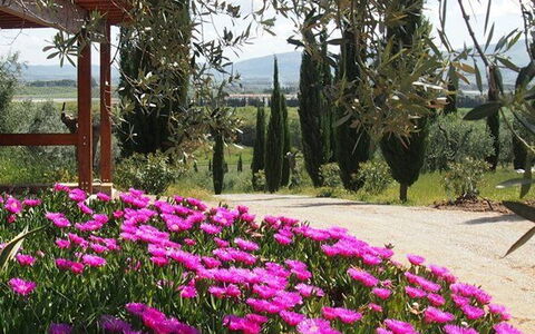Villa Giulia Follonica: Fiore, Pianta, Primavera, Giardino, Magenta, Rosa, Giardino Botanico, Botanica, Albero, Pianta Fiorita