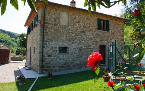 Casa Antica: Pianta, Costruzione, Cielo, Proprietà, Finestra, Verde, Fiore, Albero, Casa, Erba