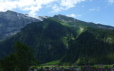 Berg Edelweiss