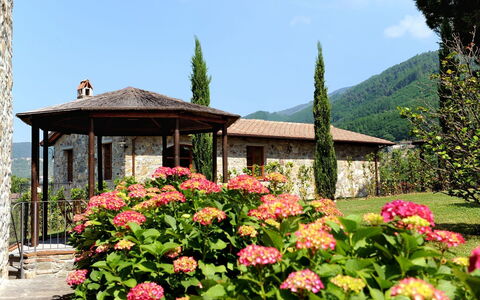 Alloggio:&nbsp;Margherita