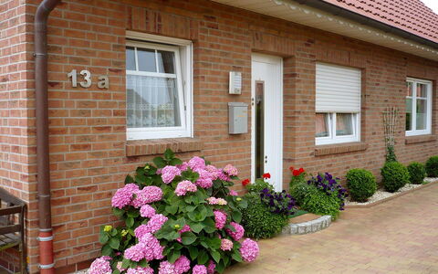 Reissmann: Fiore, Pianta, Finestra, Costruzione, Casa, Porta, Parete, Erba, Muratura, Immobiliare
