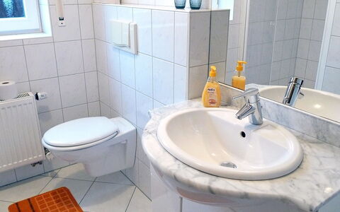 Reissmann: Bagno, Proprietà, Gabinetto, Rubinetto, Camera, Idraulico Fixture, Piastrella, Bagno Accessorio, Lavello, Parete