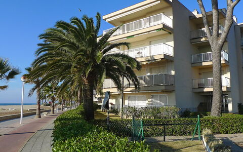 Dms V: Cielo, Pianta, Costruzione, Acqua, Finestra, Botanica, Albero, Arecales, Condominio, Vegetazione