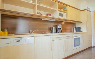Alpin 510.6: Cabinetry, Controsoffitto, Lavandino Della Cucina, Rubinetto, Mobilia, Lavello, Mensola, Cucina, Elettrodomestico Da Cucina, Legna