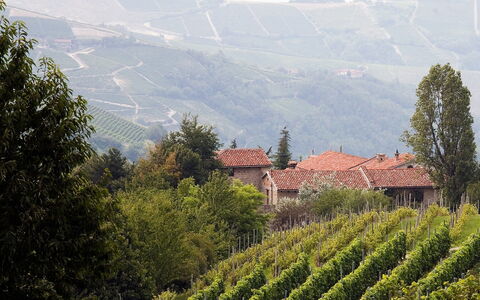 Borgo del Riondino: Vegetazione, Hill Station, Fenomeno Atmosferico, Highland, Area Rurale, Piantagione, Collina, Montagna, Albero, Paesino Di Montagna