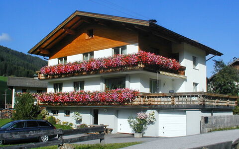 Obernberg: Pianta, Cielo, Costruzione, Proprietà, Finestra, Fiore, Ruota, Casa, Architettura, Albero