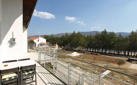 Novigrad (Zadar) 307