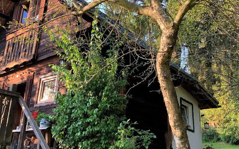Reserl: Pianta, Costruzione, Albero, Verde, Ramo, Finestra, Botanica, Vaso Di Fiori, Casa, Le Scale