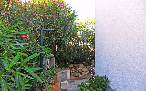 Josiane: Pianta, Fiore, Foglia, Erba, Rettangolo, Paesaggio Naturale, Groundcover, Arbusto, Paesaggio, Impianto Terrestre