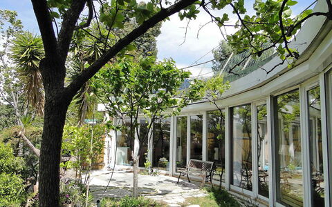 Agora: Albero, Vegetazione, Architettura, Botanica, Costruzione, Ramo, Woody Impianto, Pianta, Primavera, Casa