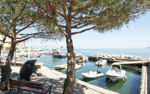 Pinka: Trasporto Di Acqua, Albero, Waterway, Acqua, Marina, Barca, Woody Impianto, Turismo, Vacanza, Veicolo