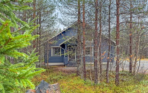 Mäntyrinne: Albero, Legna, Ramo, Villetta, Woodland, Lotto, Tronco, Foresta, Ramoscello, Log Cabin
