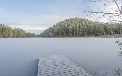 Viipusjärvi 10: Acqua, Ambiente Naturale, Paesaggio Naturale, Banca, Riflessione, Natura Selvaggia, Lago, Foresta, Larice, Serbatoio