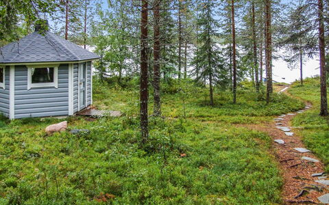 Kujalan Lomat 1: Albero, Erba, Ambiente Naturale, Natura, Vegetazione, Paesaggio Naturale, Comunita 'Impianto, Foresta, Paesaggio